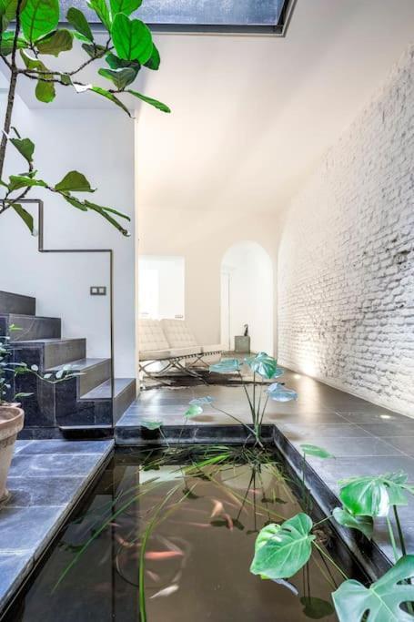 Elegante Duplex Centro Sevilla Matahacas 1 Exteriör bild