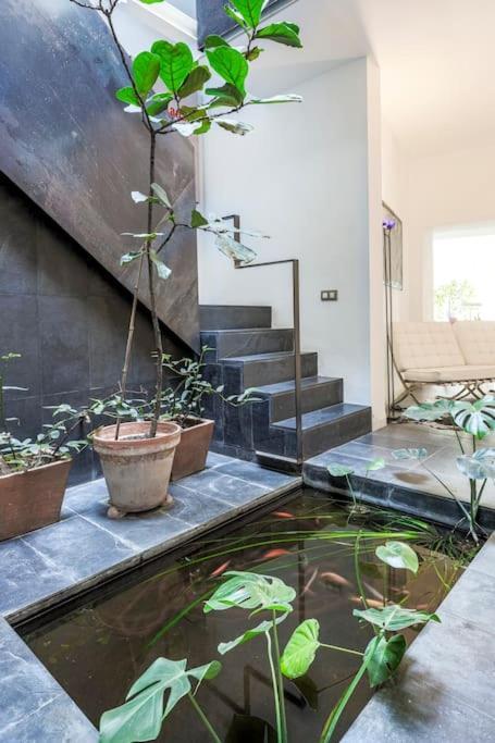 Elegante Duplex Centro Sevilla Matahacas 1 Exteriör bild
